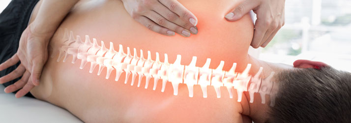 Chiropractic Castle Rock CO Back Pain Man With Spine Displayed Chiropractic Castle Rock CO Back Pain Man With Spine Displayed