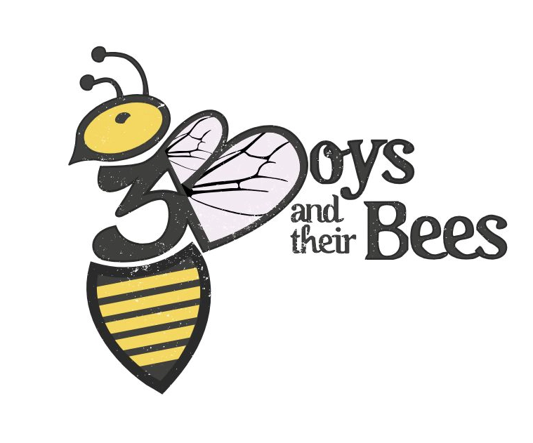 Chiropractic Castle Rock CO 3 Boys and Their Bees Logo